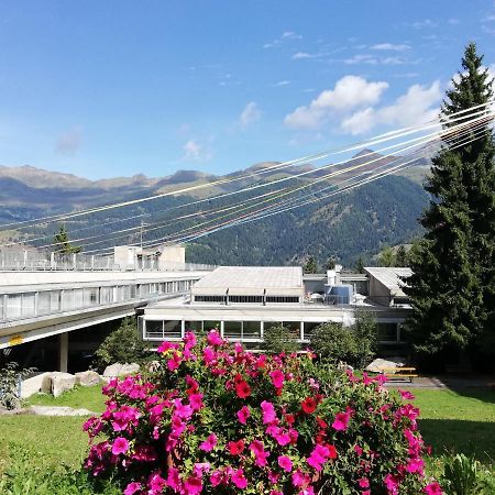 Marilleva 1400 Appartamenti Montana Dış mekan fotoğraf