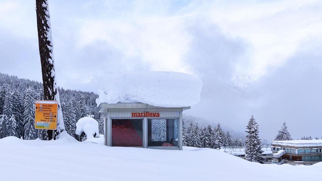 Marilleva 1400 Appartamenti Montana Dış mekan fotoğraf